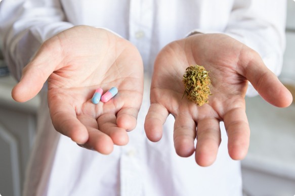 could-cannabis-replace-opiates-post-surgery-recove.jpg